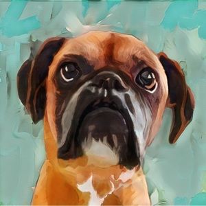 20x20 Fine Art Print